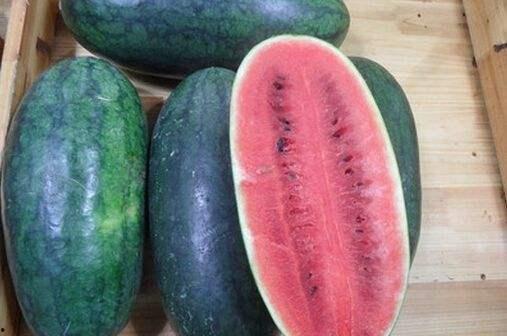 吃料黑瓜官网,解锁美食新体验